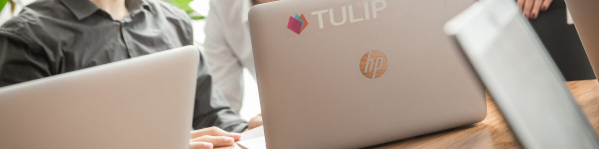 TULIP - payroll online platform O platforma prietenoasa pentru companie si angajati