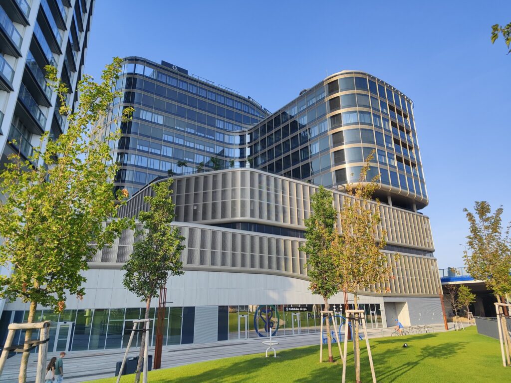 tulip_new office