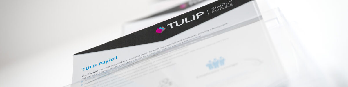 payroll outsourcing - tulip blog