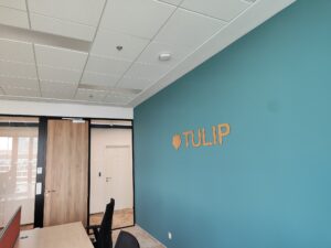 tulip new office