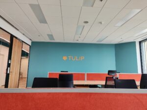 tulip new offices
